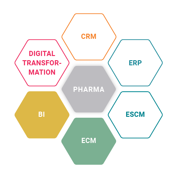 ProE-SCM and BI for hameln pharma for the pharma industry