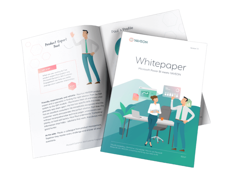 Mockup Whitepaper Power BI