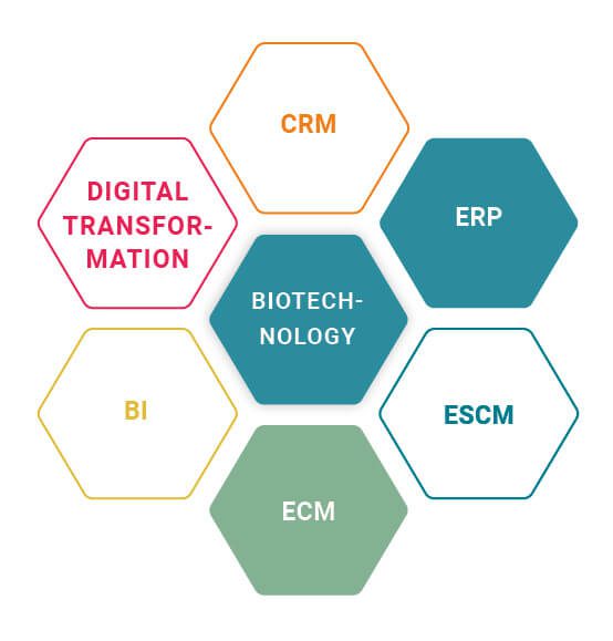 DMS and ERP at CTL-Europe for the Biotech Industry
