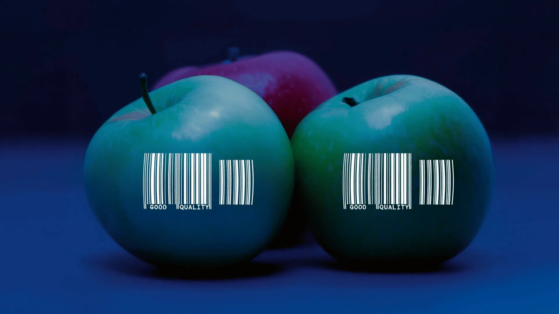 Wie Sie Lebensmittel sicher rückverfolgen