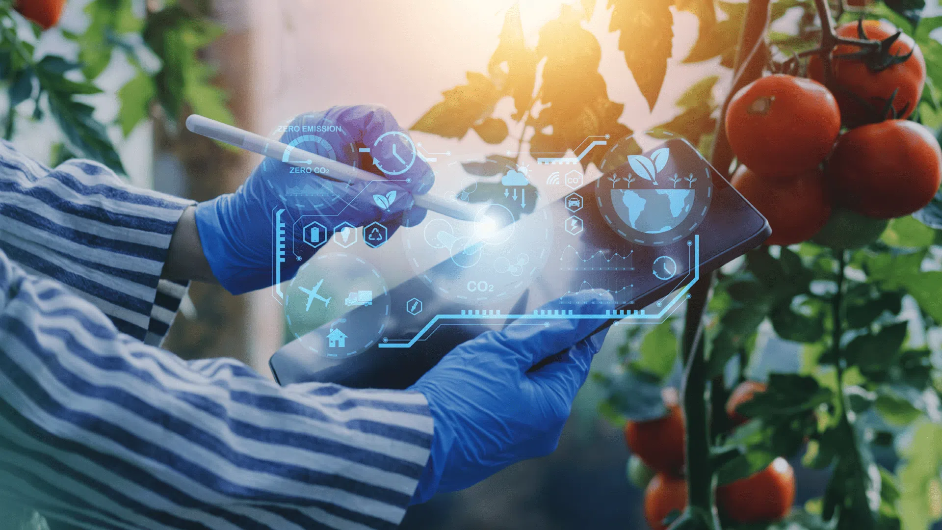 Sustainability in the food industry