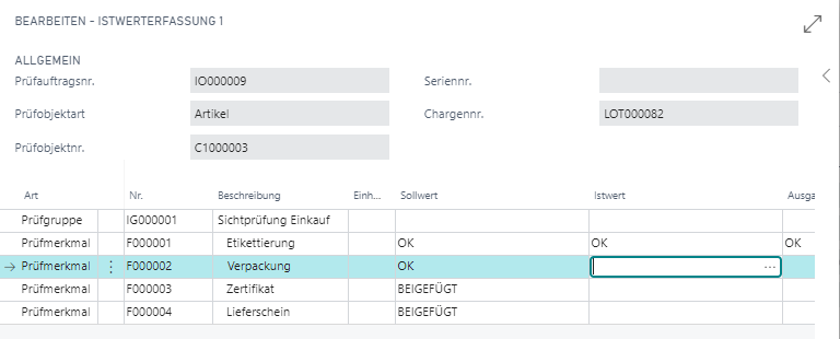 Qualitätsprüfung von Artikel C100003 mit Prüfergebnissen in Tabelle.