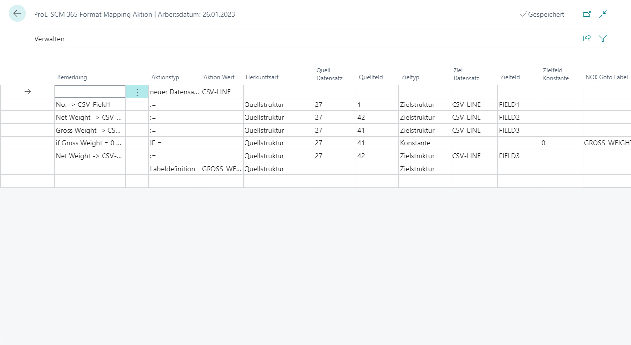 Bildschirmfoto eines ProE-SCM 365 Format Mapping Arbeitsblatts.