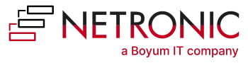 Logo Lösungspartner Netronic