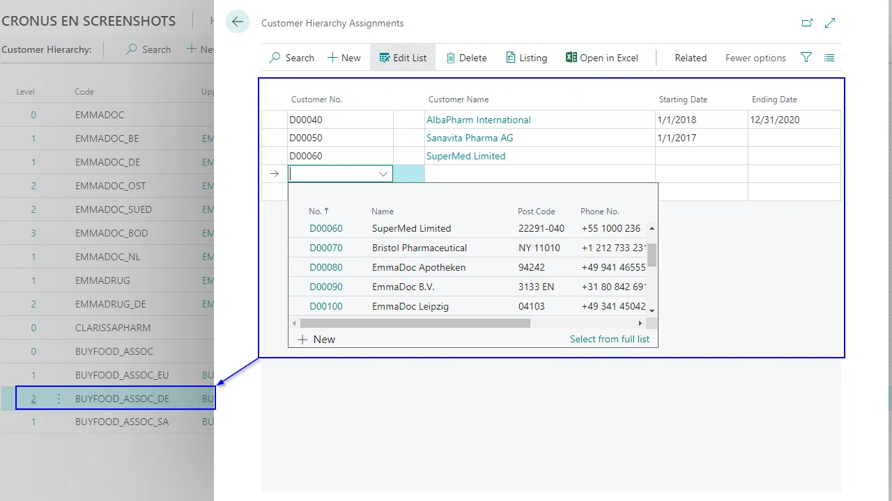 Customer hierarchy interface with dropdown selection.