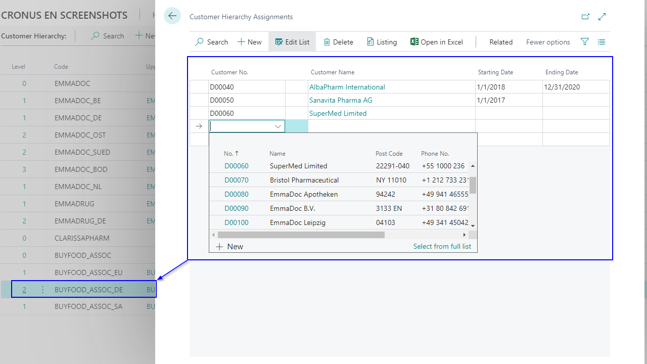 Customer hierarchy interface with dropdown options in software.
