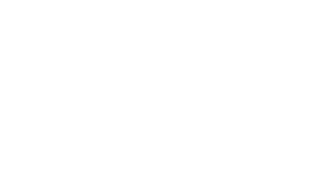 logo kunde sanity-group