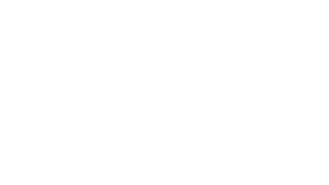 logo vertriebspartner stoneridge