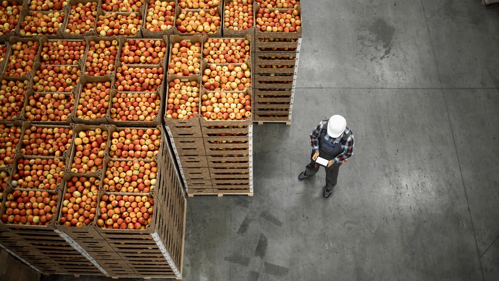 Supply chain management food industry