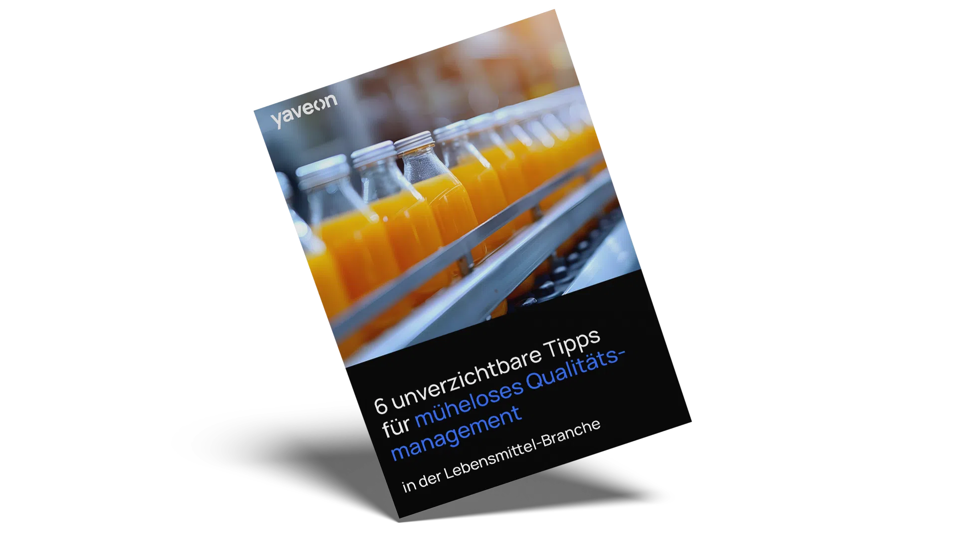 6 Tipps für erfolgreiches QM in der Food-Industrie