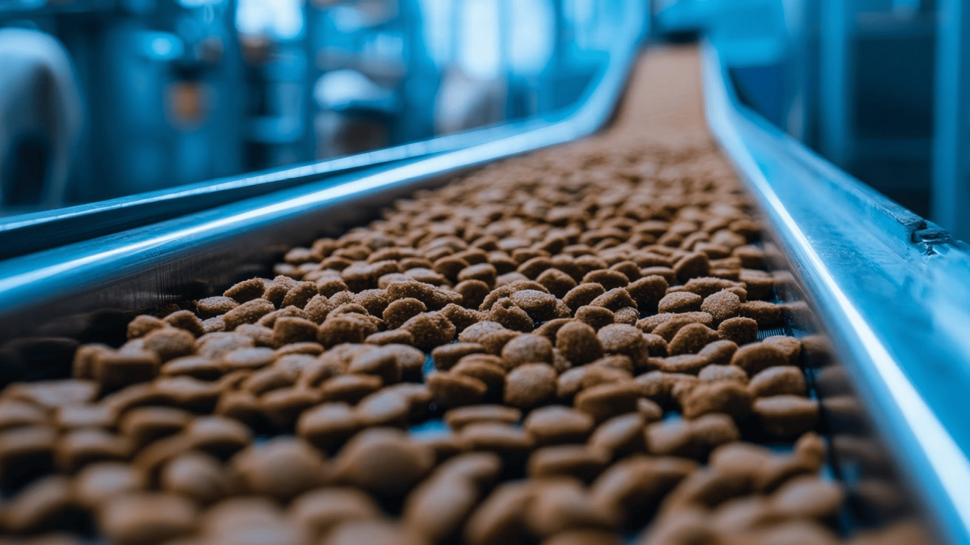 Dry food on a conveyor belt in a factory.