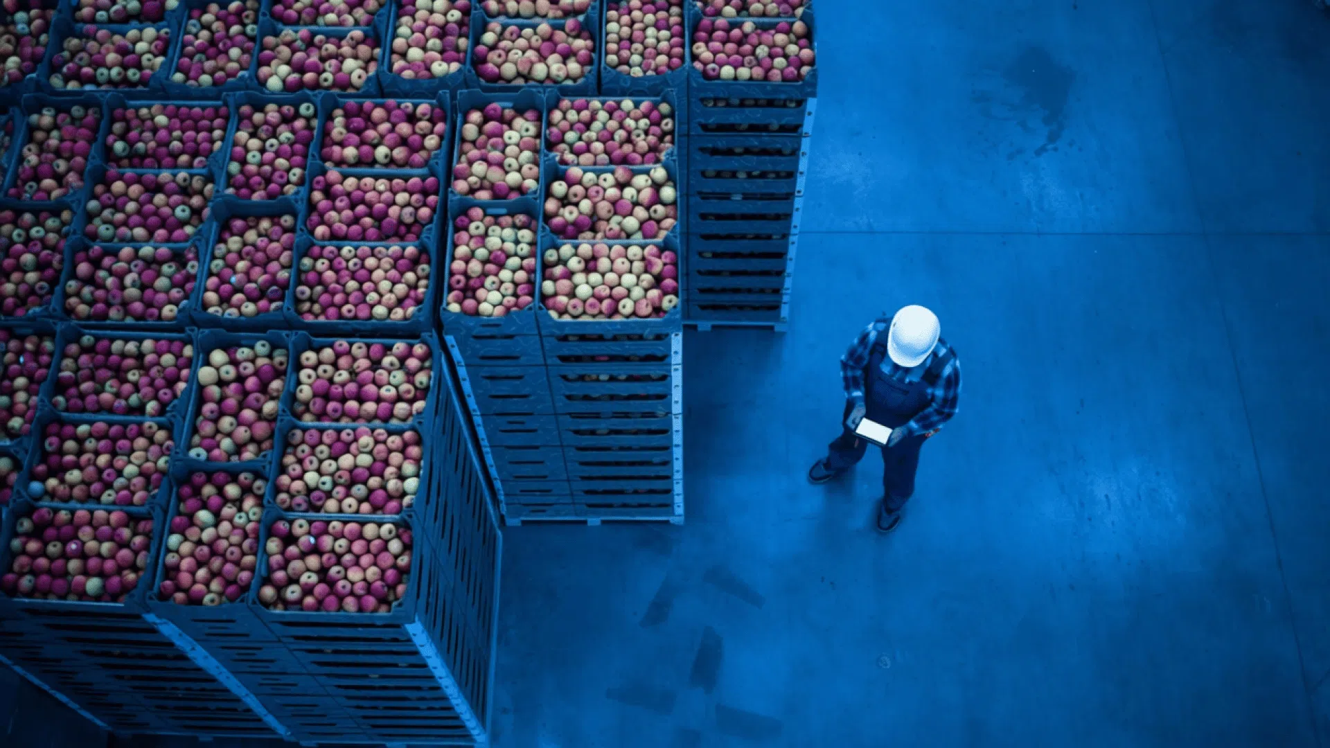 Supply Chain Management für Lebensmittel