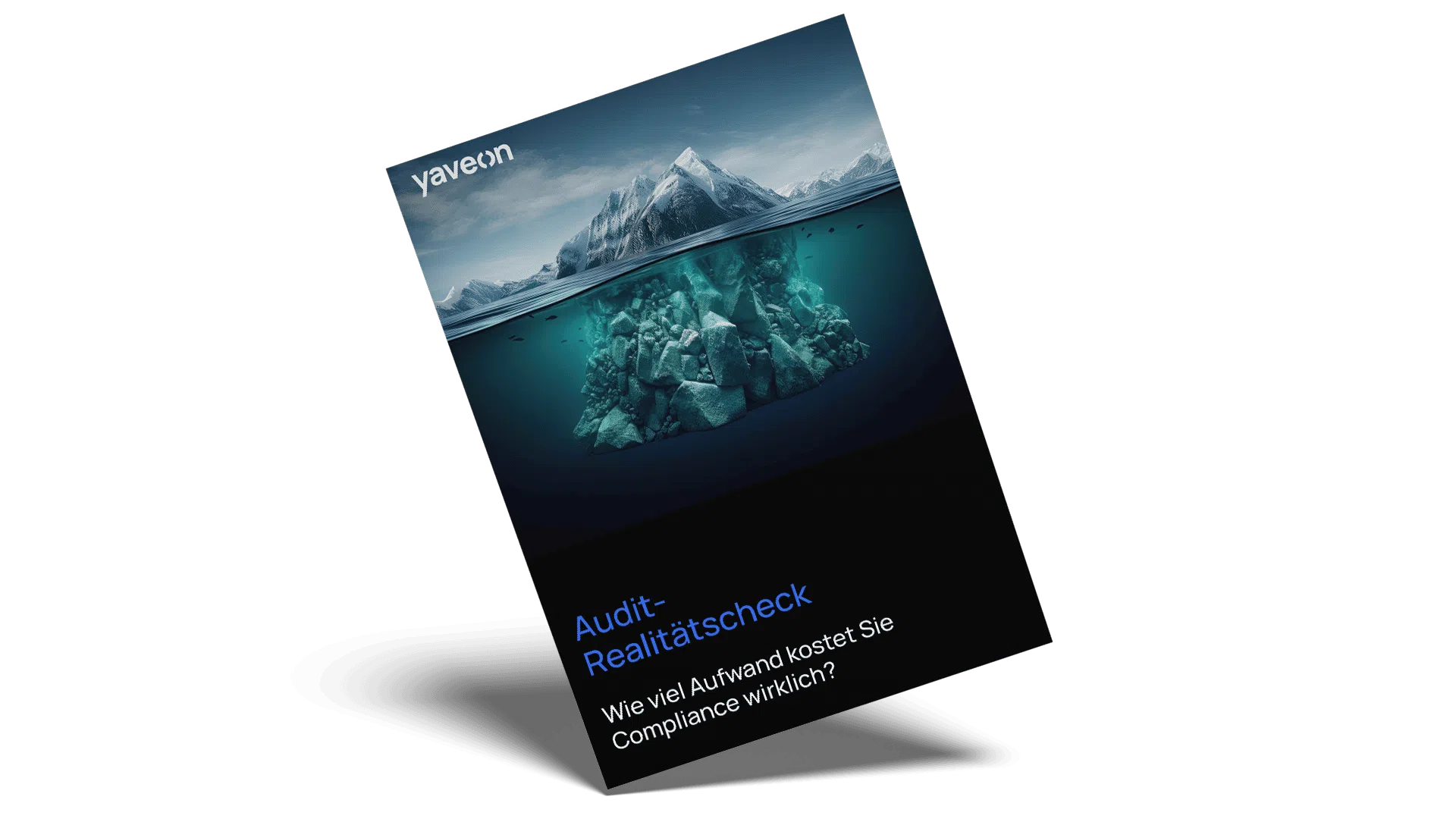 Mockup Whitepaper Audit Check