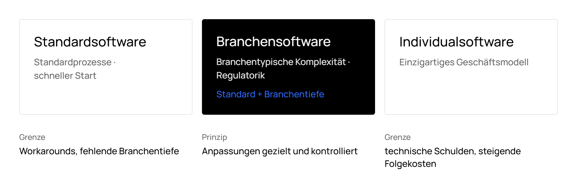 Diagramm zu Softwaretypen: Standard-, Branchen- und Individualsoftware.